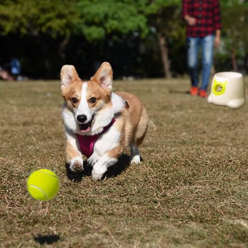 YEEGO DIRECT Dog Tennis Launcher Special Ball, Pet Safety Toy for Sports and Training,1.97" Diameter (6-Pack), Machine Not Included in Kuwait