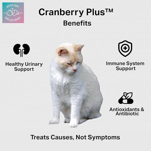 Cranberry Chews for Cats - UTI, Bladder, Kidney, & Urinary Tract Support - Cat Health Supplements Contain Cranberry Extract, Echinacea, Vitamin C, and Astragalus Root - 60 Soft Treats in Kuwait