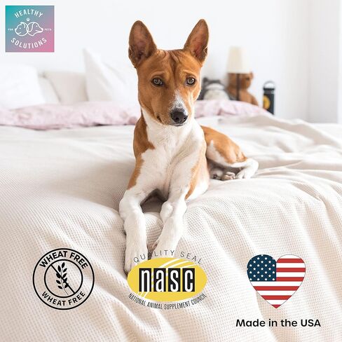 Cranberry Chews for Cats - UTI, Bladder, Kidney, & Urinary Tract Support - Cat Health Supplements Contain Cranberry Extract, Echinacea, Vitamin C, and Astragalus Root - 60 Soft Treats in Kuwait