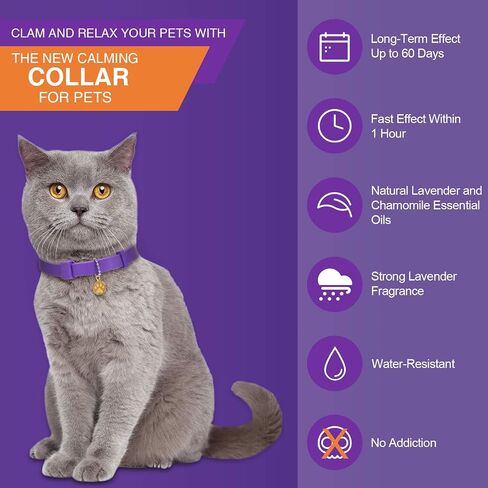 4 Pcs Calming Cats Collar Adjustable Cat Calm Collar Lavender Scent Relaxing Cat Collar with 2 Pendant for Puppies Cats Reduce Stress Aggression Anxious, up to 15 Inches (Black) in Saudi Arabia