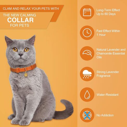 4 Pcs Calming Cats Collar Adjustable Cat Calm Collar Lavender Scent Relaxing Cat Collar with 2 Pendant for Puppies Cats Reduce Stress Aggression Anxious, up to 15 Inches (Black) in Saudi Arabia