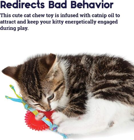 Catstages Dental Kitty Chew Wheel Catnip Cat Toy in Kuwait