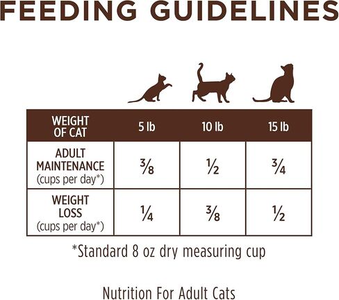 Instinct Limited Ingredient Diet Dry Cat Food, Real Rabbit, 4.5 lb. Bag in Kuwait