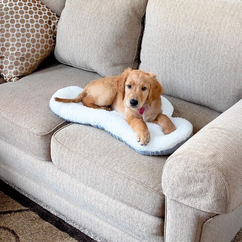 Kitty City Cat Bed, Cotton, 14"W x 19"L x 5"H in Kuwait