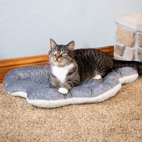Kitty City Cat Bed, Cotton, 14"W x 19"L x 5"H in Kuwait
