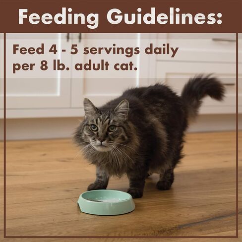 Nutro Perfect Portions Cuts Wet Cat Food, Turkey & Chicken, 2.6 oz, 12 ct in Kuwait