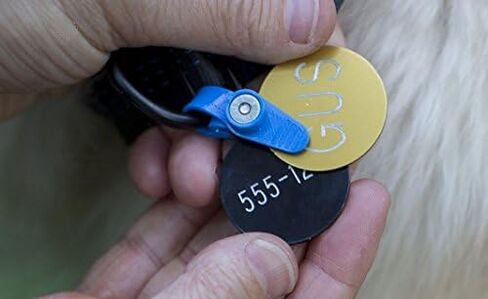 FreezeTag Dog Tag Silencer and Connector, One Size, Graphite in Kuwait