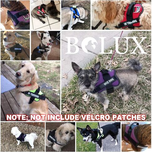 Bolux Dog Harness, No-Pull Reflective Dog Vest, Breathable Adjustable Pet Harness with Handle for Outdoor Walking - No More Pulling, Tugging or Choking (Blue, S) in Saudi Arabia
