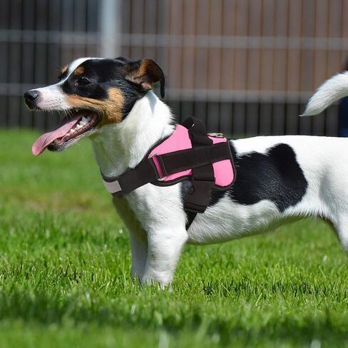 Bolux Dog Harness, No-Pull Reflective Dog Vest, Breathable Adjustable Pet Harness with Handle for Outdoor Walking - No More Pulling, Tugging or Choking (Blue, S) in Saudi Arabia