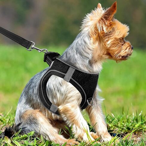 سرج Joytale Step in Dog، 12 لونًا، سرج سترة شبكي يسمح بالتهوية، سرج مبطن ناعم عاكس للكلاب الصغيرة والصغيرة جدًا، أسود، مقاس S in Kuwait