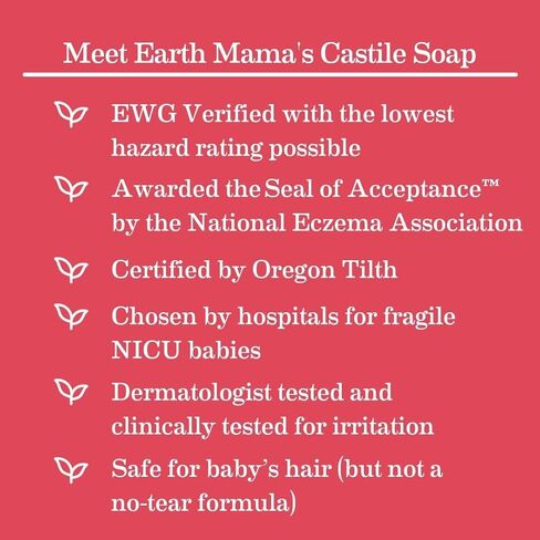 Earth Mama Ginger Fresh Foaming Hand Soap and All Purpose Body Wash for Sensitive Skin, Liquid Castile Soap with Organic Coconut Oil, Shea Butter, Calendula, & Aloe, 5.3 fl oz and Liter Refill in Kuwait