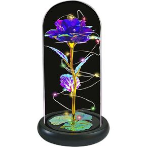 Mother's Day Rose Gifts ,Birthday Gifts For Women Flower Gifts For Her Lasts Forever in Glass Dome Artificial Roses Flower Gift for Christmas Valentine's Day Wedding Anniversary Girl (Purple Colorful) in Saudi Arabia