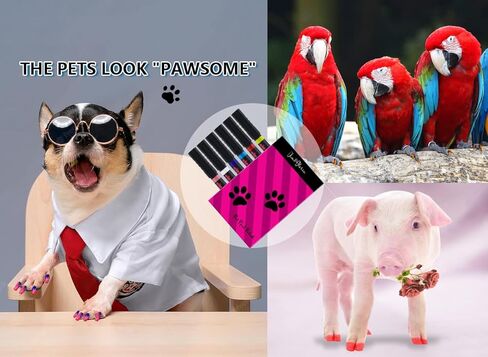 Jim&Gloria PAW-SAFE Dog Nail Polish Pen Set, Dark Or Light Nails No Odor Quick Dry, 6 Colors Pens, Ideal Gifts for Small or Big Girl Dog Accessories, Pet Costume, Birthday Supplies, Pet Grooming Kit in Kuwait