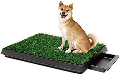 Dog bedpans with Grass Pads, Portable pet bedpans That can be Washed in Kuwait