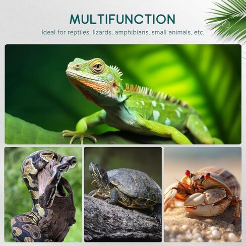 وسادة تسخين الزواحف INKPET مقاس 8 بوصة × 12 بوصة مع مجموعة ترموستات رقمية تحت بساط تسخين تررم للسلاحف والسحالي والضفادع والزواحف الأخرى in Kuwait