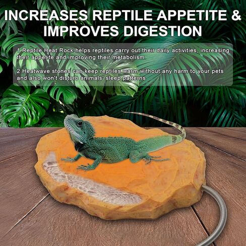 صخرة تسخين للزواحف من فودور يتم التحكم فيها حراريا، سخان صخور للزواحف الساخنة للسلاحف والثعابين والنسك وملحقات خزان السحلية (A) in Kuwait