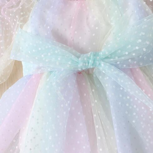 ODASDO Newborn Baby Girl Romper Dress Flower Embroidery Tutu Princess Long Sleeve One-Piece Bodysuit Cake Smash Outfit in Saudi Arabia