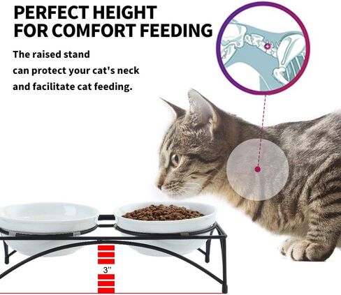 FOREYY Elevated Cat Bowls with 2 Ceramic Bowls and 2 Stainless Steel Bowls,Raised Cat Food Water Bowl with Iron Stand,Porcelain Pet Dishes for Cats and Small Dogs,16 Ounces,Dishwasher Safe(Blue) in Saudi Arabia