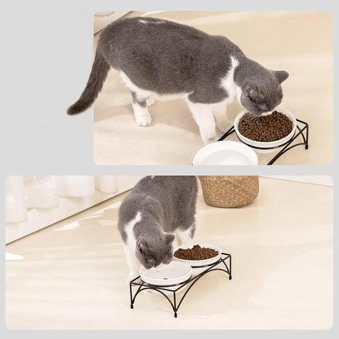 FOREYY Elevated Cat Bowls with 2 Ceramic Bowls and 2 Stainless Steel Bowls,Raised Cat Food Water Bowl with Iron Stand,Porcelain Pet Dishes for Cats and Small Dogs,16 Ounces,Dishwasher Safe(Blue) in Saudi Arabia