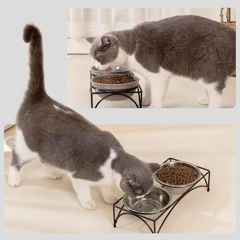 FOREYY Elevated Cat Bowls with 2 Ceramic Bowls and 2 Stainless Steel Bowls,Raised Cat Food Water Bowl with Iron Stand,Porcelain Pet Dishes for Cats and Small Dogs,16 Ounces,Dishwasher Safe(Blue) in Saudi Arabia