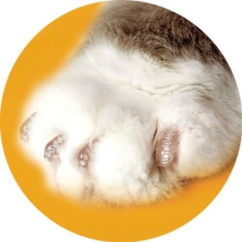 Soft Claws Nail Caps for Cats, Clear Size Medium 9-13 lbs, CLS (Cleat Lock System) in Kuwait