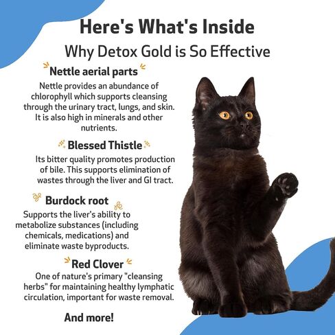 Gold Wellbeing Detox Gold للقطط - تركيبة بيطرية - دعم لطيف لإزالة السموم والتخلص منها - مكمل عشبي طبيعي 2 أونصة (59 مل) in Kuwait
