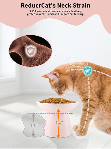 LoeJan Elevated Cat Food and Water Bowls Set, Extra Wide and Raised Ceramic Bowls, Anti-Vomit Whisker-Free Pressure Cat Feeder for Kittens to Adult Cats and Small Dogs (White, Water Bowl) in Saudi Arabia