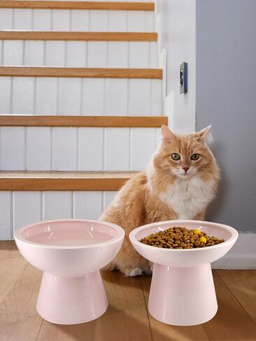 LoeJan Elevated Cat Food and Water Bowls Set, Extra Wide and Raised Ceramic Bowls, Anti-Vomit Whisker-Free Pressure Cat Feeder for Kittens to Adult Cats and Small Dogs (White, Water Bowl) in Saudi Arabia