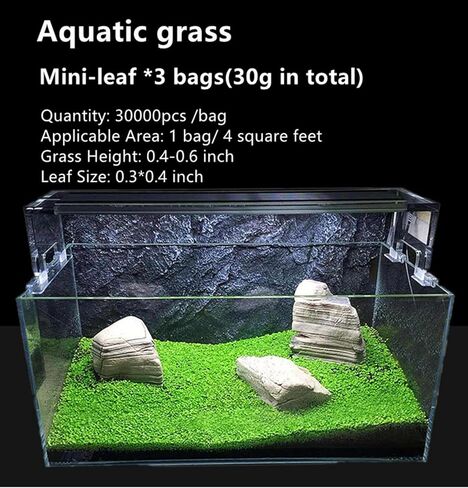 عشب ماء بذور نباتات حوض السمك الحي، 1 أونصة من أوراق المياه العذبة المائية الصغيرة أوراق اللؤلؤ الصغيرة لخزان الأسماك تررم المائي القزم السجاد ديكور AAA in Kuwait