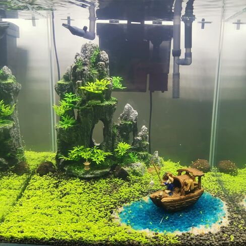 عشب ماء بذور نباتات حوض السمك الحي، 1 أونصة من أوراق المياه العذبة المائية الصغيرة أوراق اللؤلؤ الصغيرة لخزان الأسماك تررم المائي القزم السجاد ديكور AAA in Kuwait