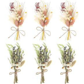 أودي_6 تي اكس دي باقة زهور مجففة صغيرة من 6 قطع، باقة وصيفات العروس، زهور مجففة للحرف اليدوية، مزهريات صغيرة لمراكز الطاولة، ديكورات الزفاف البوهيمية، ترتيبات كعكة عيد الميلاد، صندوق هدايا لوصيفة in Kuwait