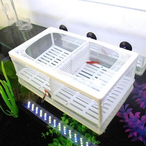 Senzeal Aquarium Fish Breeder Box Fish Fry Hatchery Incubator Net Nylon Isolation Mesh with 3pcs Pipette (Large) in Kuwait