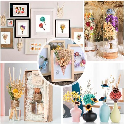 6 قطع من الزهور المجففة للحرف اليدوية، زهور مجففة صغيرة مع سيقان للحرف اليدوية، زهور مجففة للمزهرية in Kuwait