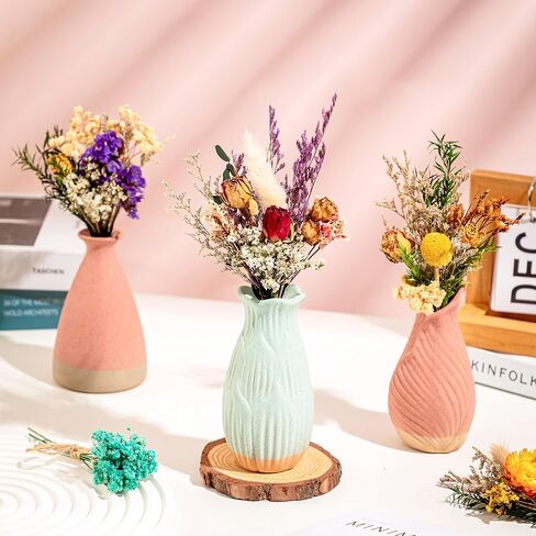 6 قطع من الزهور المجففة للحرف اليدوية، زهور مجففة صغيرة مع سيقان للحرف اليدوية، زهور مجففة للمزهرية in Kuwait