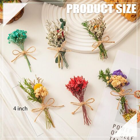 6 قطع من الزهور المجففة للحرف اليدوية، زهور مجففة صغيرة مع سيقان للحرف اليدوية، زهور مجففة للمزهرية in Kuwait