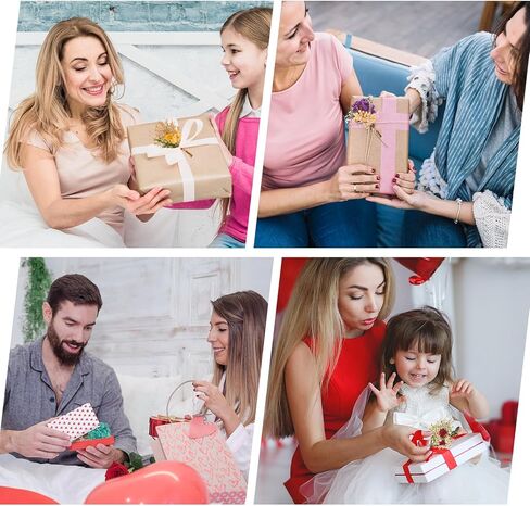 6 قطع من الزهور المجففة للحرف اليدوية، زهور مجففة صغيرة مع سيقان للحرف اليدوية، زهور مجففة للمزهرية in Kuwait