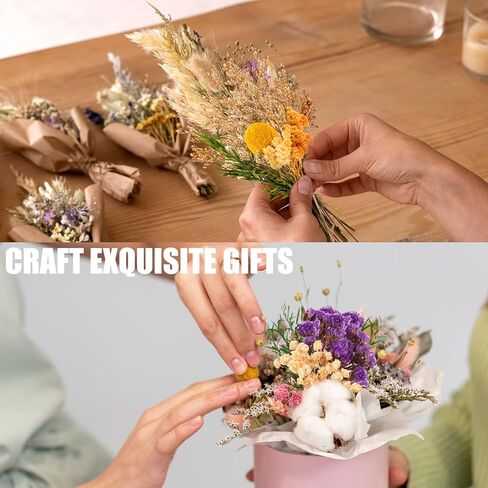 6 قطع من الزهور المجففة للحرف اليدوية، زهور مجففة صغيرة مع سيقان للحرف اليدوية، زهور مجففة للمزهرية in Kuwait