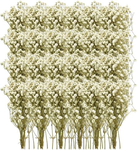 50 Pcs Colorful Babys Breath Dried Flowers Mini Natural Gypsophila Flowers Bouquets Bulk Babys Breath Flowers with Stems for Flower Garland Invitations Mothers Gift Hair Accessories DIY Art in Kuwait