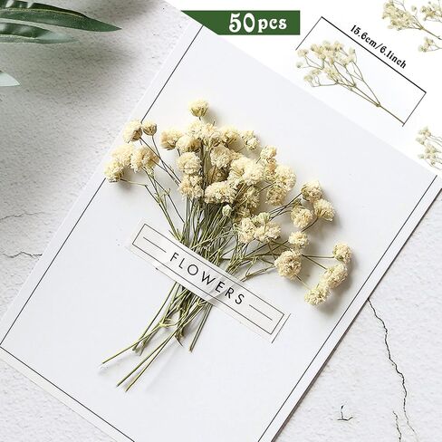 50 Pcs Colorful Babys Breath Dried Flowers Mini Natural Gypsophila Flowers Bouquets Bulk Babys Breath Flowers with Stems for Flower Garland Invitations Mothers Gift Hair Accessories DIY Art in Kuwait