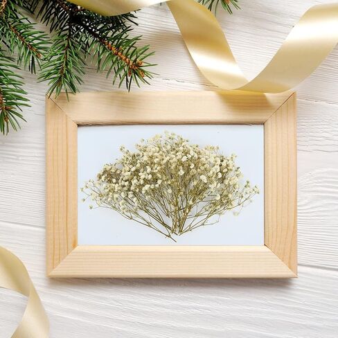 50 Pcs Colorful Babys Breath Dried Flowers Mini Natural Gypsophila Flowers Bouquets Bulk Babys Breath Flowers with Stems for Flower Garland Invitations Mothers Gift Hair Accessories DIY Art in Kuwait