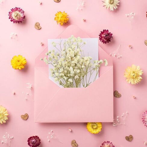 50 Pcs Colorful Babys Breath Dried Flowers Mini Natural Gypsophila Flowers Bouquets Bulk Babys Breath Flowers with Stems for Flower Garland Invitations Mothers Gift Hair Accessories DIY Art in Kuwait