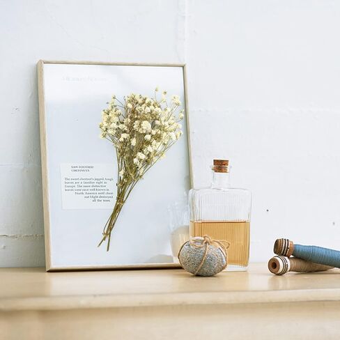 50 Pcs Colorful Babys Breath Dried Flowers Mini Natural Gypsophila Flowers Bouquets Bulk Babys Breath Flowers with Stems for Flower Garland Invitations Mothers Gift Hair Accessories DIY Art in Kuwait