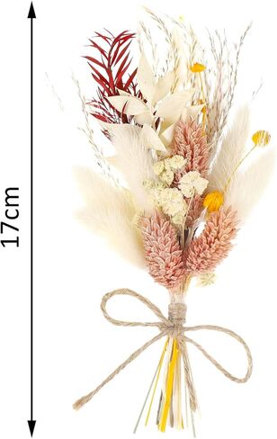 أودي_6 تي اكس دي باقة زهور مجففة صغيرة من 6 قطع، باقة وصيفات العروس، زهور مجففة للحرف اليدوية، مزهريات صغيرة لمراكز الطاولة، ديكورات الزفاف البوهيمية، ترتيبات كعكة عيد الميلاد، صندوق هدايا لوصيفة in Kuwait