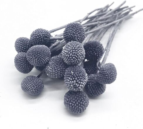 MLSG 20Pcs Natural Dried Flowers Yellow Billy Balls Flowers 16" Dried Flower Bouquet Flowers Arrangements Bouquet for Boho Vases for Decor Wedding Home Party (White) in Kuwait