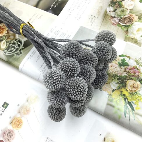 MLSG 20Pcs Natural Dried Flowers Yellow Billy Balls Flowers 16" Dried Flower Bouquet Flowers Arrangements Bouquet for Boho Vases for Decor Wedding Home Party (White) in Kuwait