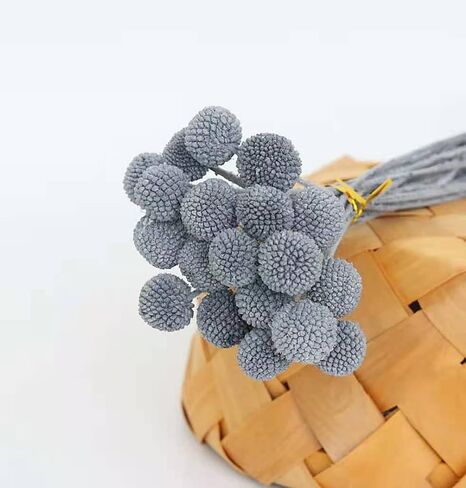 MLSG 20Pcs Natural Dried Flowers Yellow Billy Balls Flowers 16" Dried Flower Bouquet Flowers Arrangements Bouquet for Boho Vases for Decor Wedding Home Party (White) in Kuwait