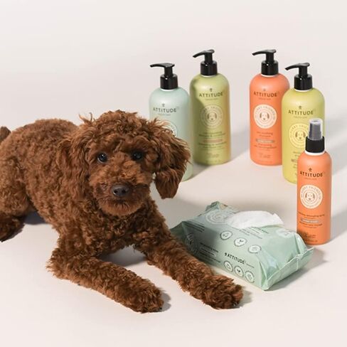 ATTITUDE Natural Deodorizing Shampoo for Cat & Dog, Hypoallergenic, Vegan and Cruelty-Free, Lavender, 16 Fl Oz in Kuwait