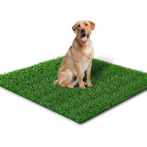 Embellbatt 51in X 31.5in العشب الاصطناعي للكلاب بول العشب منصات الكلب قعادة العشب التدريب حصيرة العشب وهمية للكلاب داخلي في الهواء الطلق حديقة الديكور سهلة التنظيف in Kuwait