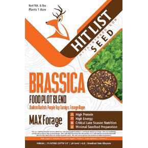 Brassica Food Plot Seeds for Deer - Annual Mix - Daikon Radish, Purple Top Turnips, Forage Brassica - Fall Planting - 3 lbs (1/2 Acre) in Saudi Arabia