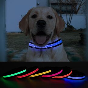 Lighted Dog Collars for Night, Dog Light Up Collar Rechargeable, Led Dog Collars for X Small Dogs, Waterproof Glowing Dog Collar(Red, Pack of 1, XS)